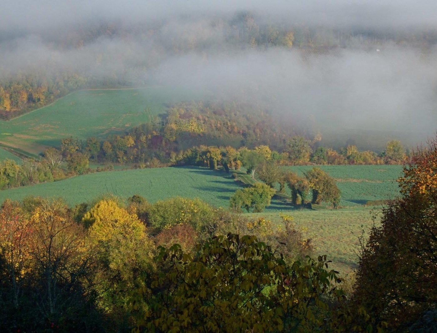 Le Compostelle by null