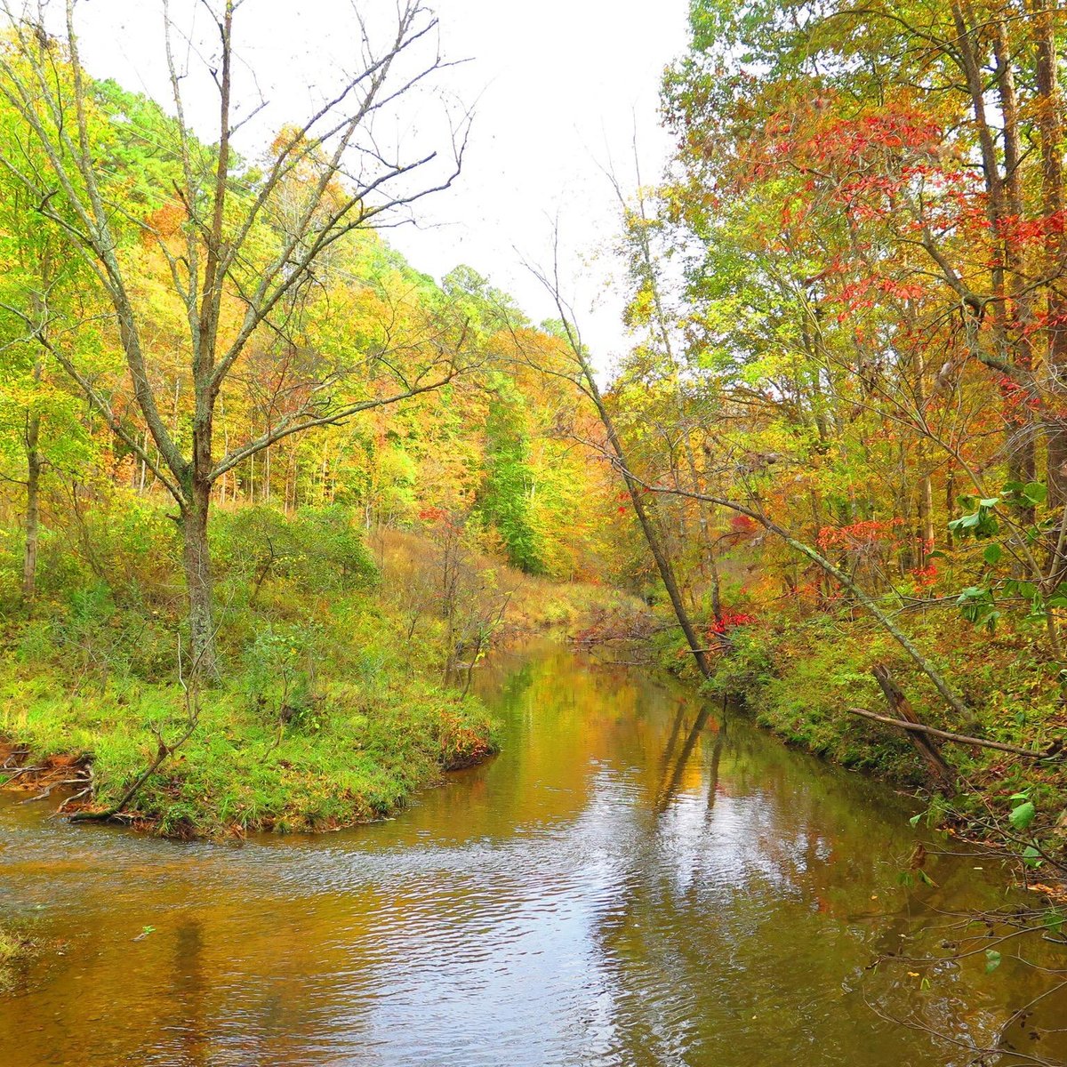 Umstead State Park - All You Need to Know BEFORE You Go (with Photos)