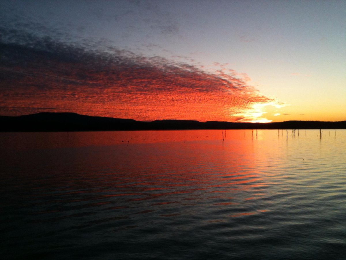 Arkansas Shoal Bay: Where Lake Dardanelle Meets Serenity