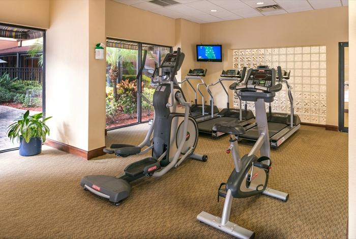 Hotel photo 77 of Holiday Inn & Suites Orlando SW - Celebration Area, an IHG hotel.