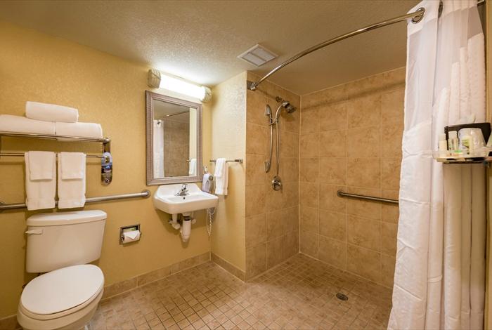 Hotel photo 76 of Holiday Inn & Suites Orlando SW - Celebration Area, an IHG hotel.