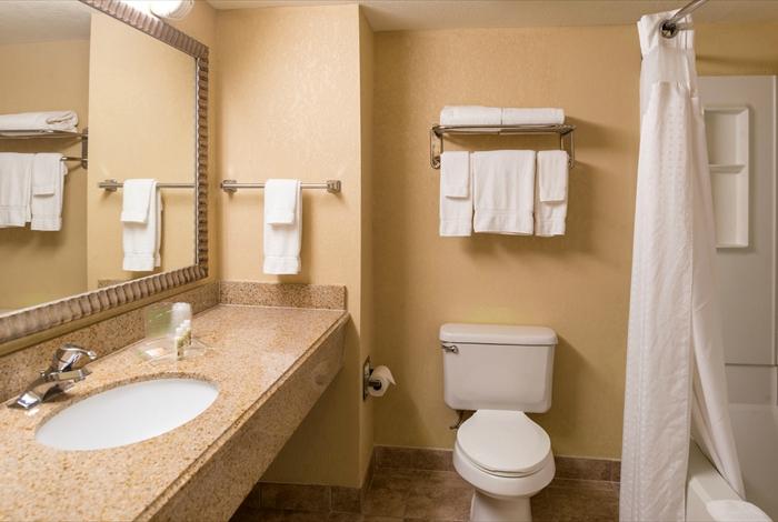 Hotel photo 46 of Holiday Inn & Suites Orlando SW - Celebration Area, an IHG hotel.