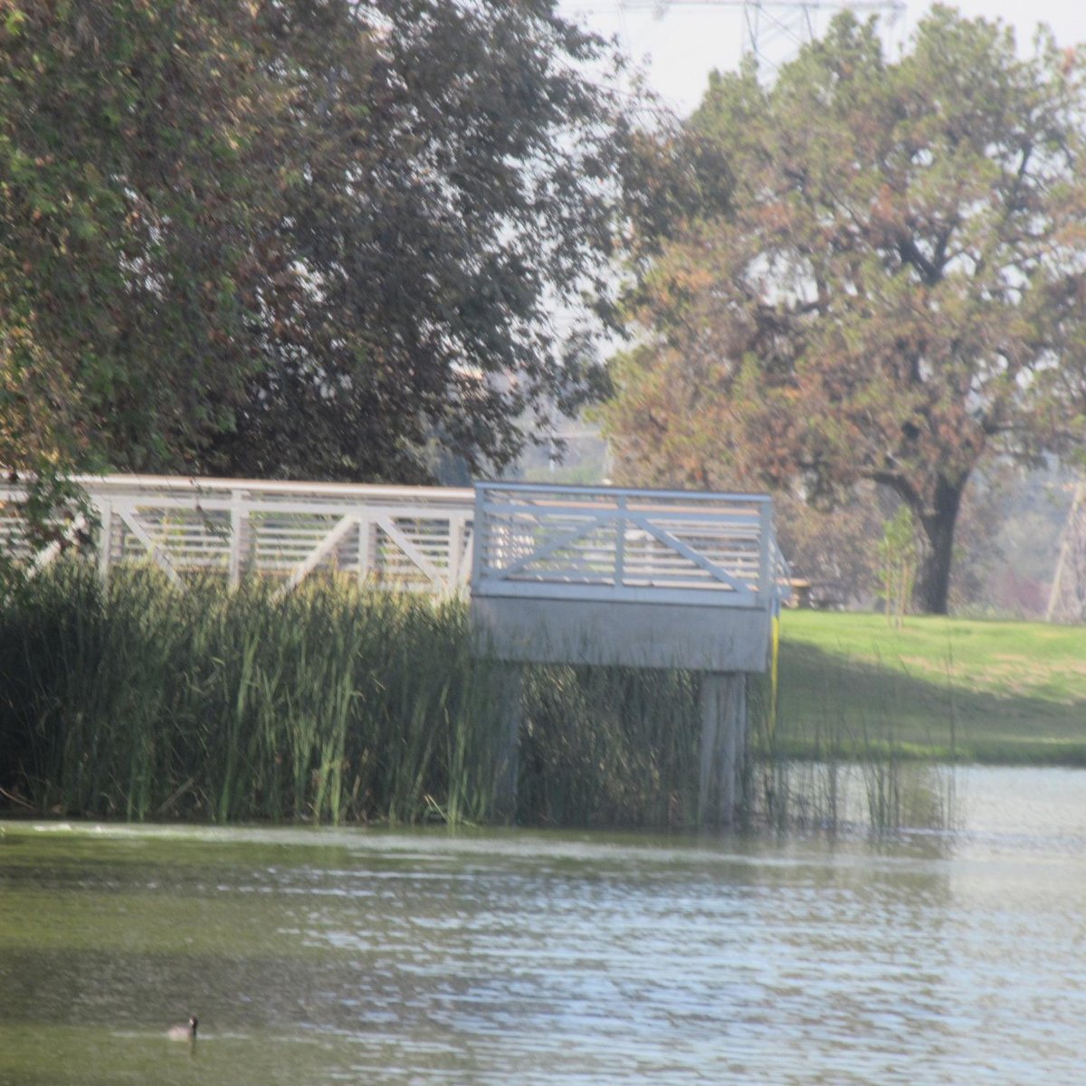 Legg Lake Park Whittier Narrows Recreation Area South El Monte 2021 What To Know Before You Go With Photos Tripadvisor