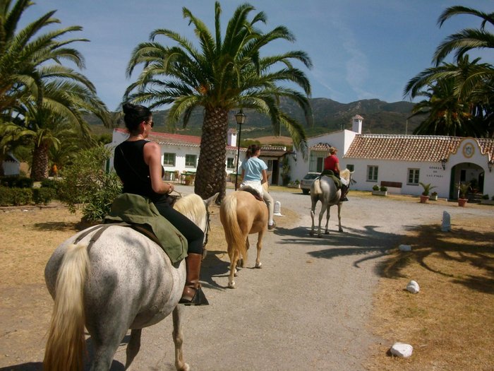 Imagen 17 de Cortijo Las Piñas