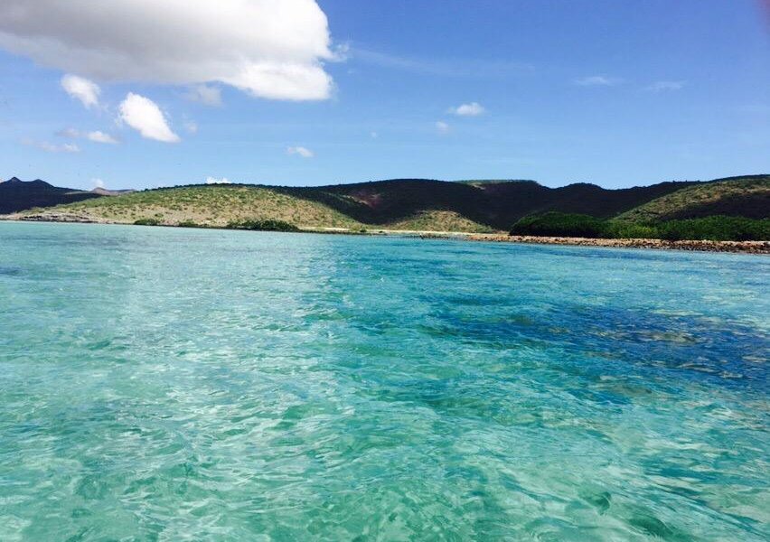 Playa El Tecolote (Tecolote Beach) image