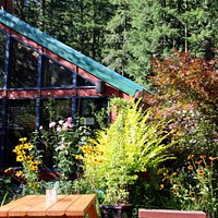 Outdoor seating; near forest