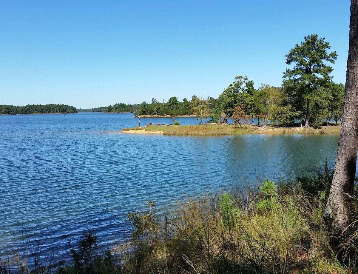 2023年 Calhoun Falls State Park 行く前に！見どころをチェック トリップアドバイザー