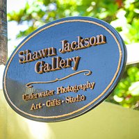 Shawn Jackson Gallery