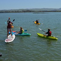 Kayakers