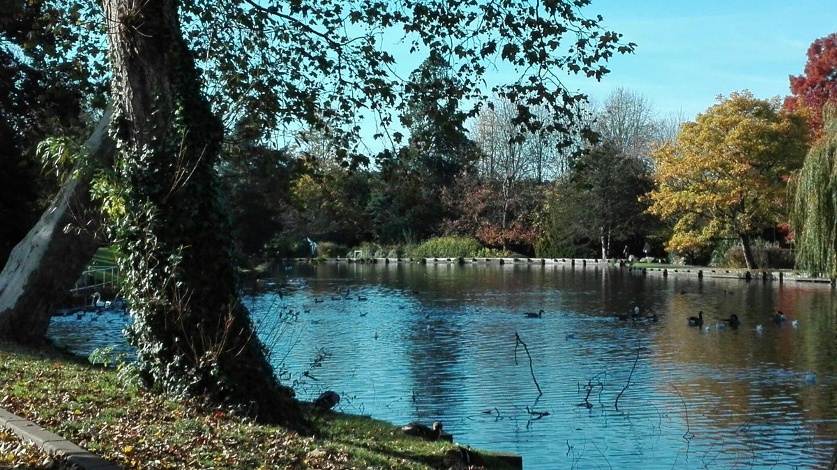 BEDDINGTON PARK SURREY INGLATERRA