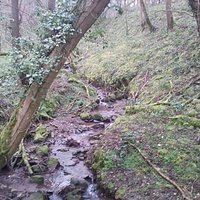 Offa's dyke near Oswestry