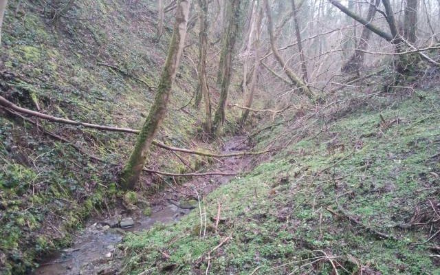 Offa' s Duke near Oswestry