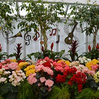 Winter garden