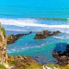 What to do and see in Muriwai Beach, North Island: The Best Things to do