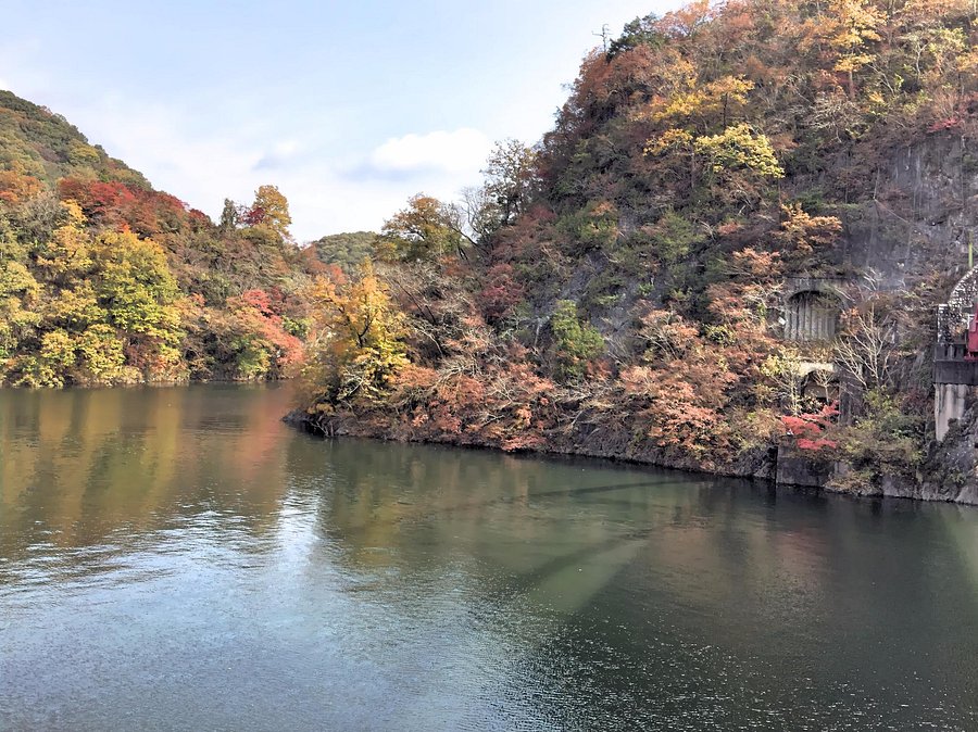 DOGOYAMA CAMPSITE - Campground Reviews (Shobara, Hiroshima Prefecture ...