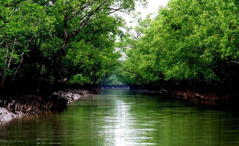 Sundarban Tourism