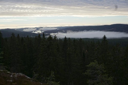Koli National Park JariJK review images