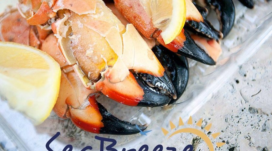 Fresh Florida Stone Crab Claws
