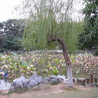 園内風景6