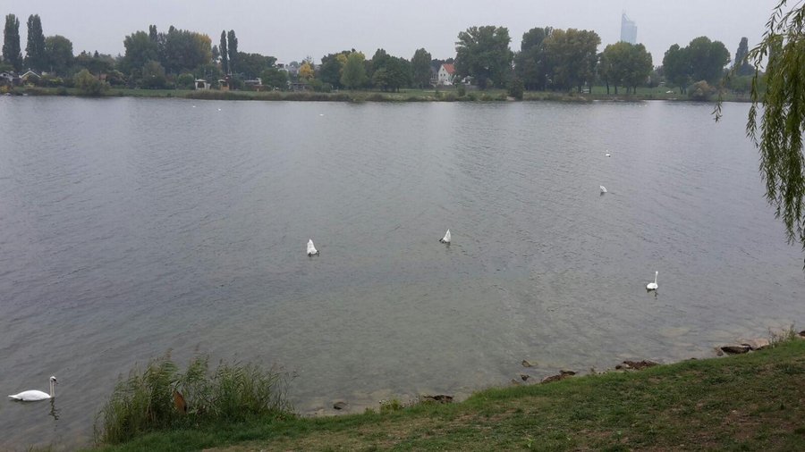 Obere Alte Donau