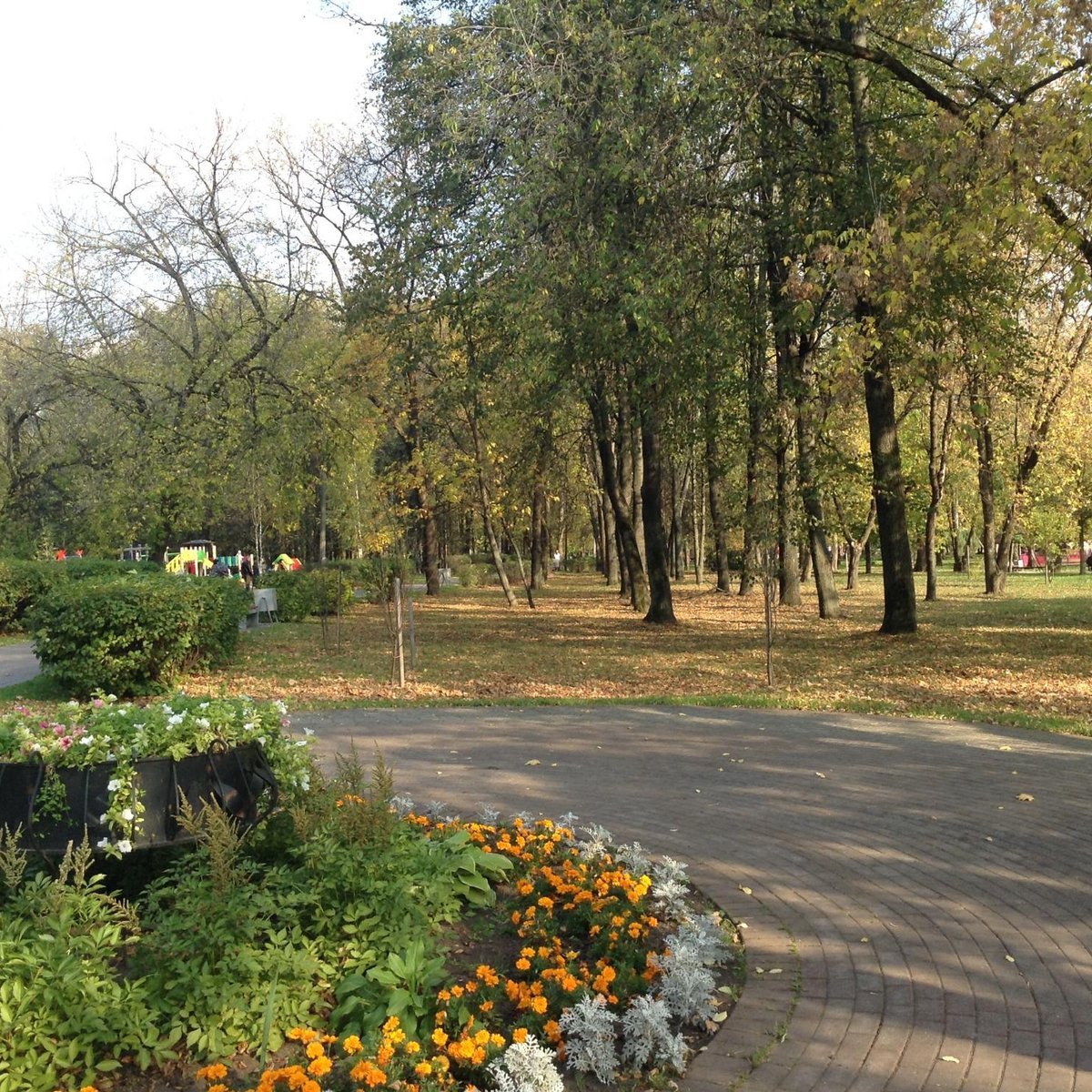 Мытищинский городской парк культуры и отдыха, Мытищи: лучшие советы перед  посещением - Tripadvisor