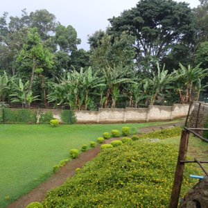 Mvuli Hotel, hotel in Arusha