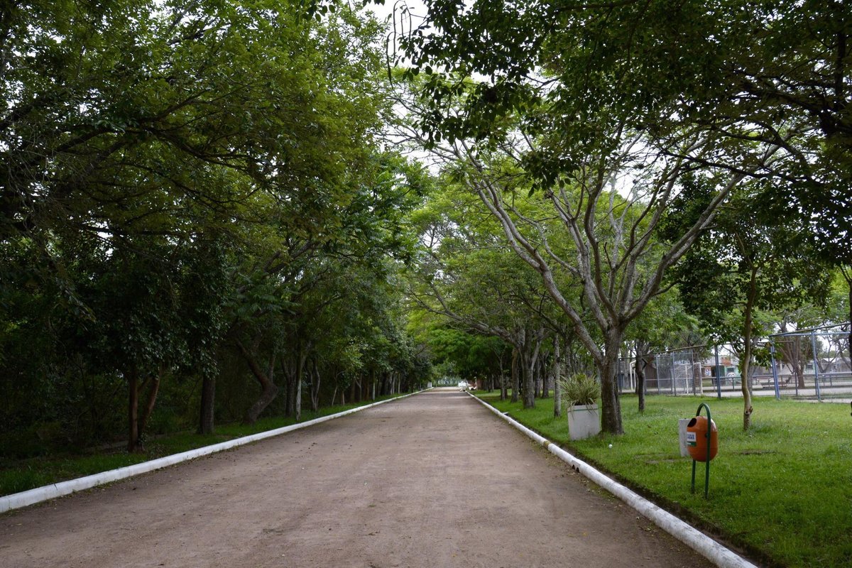 Ceca Skate ocorreu nesta manhã no Parque Eduardo Gomes – Prefeitura  Municipal de Canoas