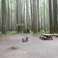 Florence Keller County Park & Campground (Crescent City) - All You Need ...