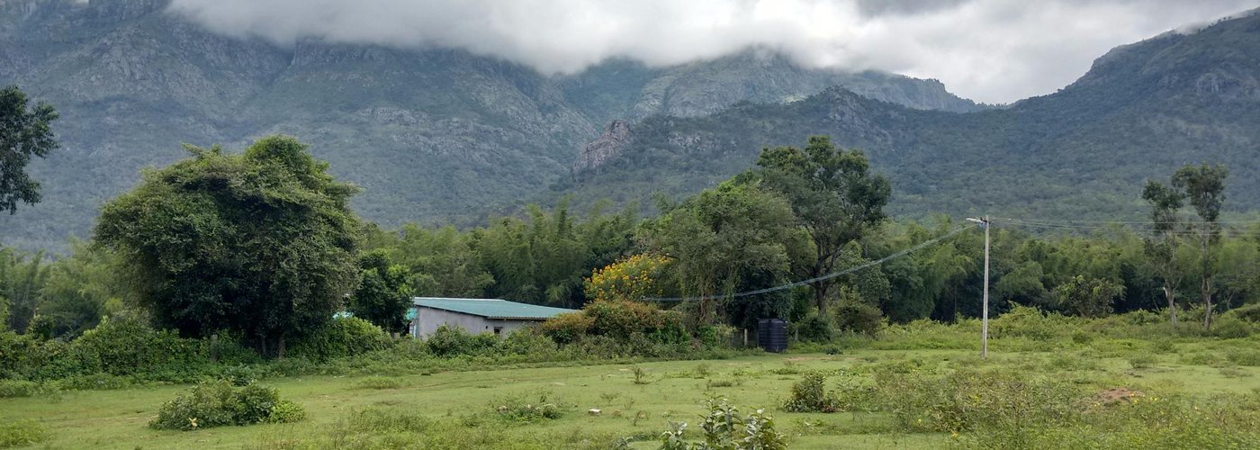 View from Bokkapuram village , masinagudi