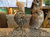 21年 Cafe Little Zoo 行く前に 見どころをチェック トリップアドバイザー 21年 Cafe Little Zoo 行く前に 見どころをチェック トリップアドバイザー