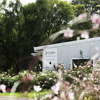 The Juniper Cellar Door