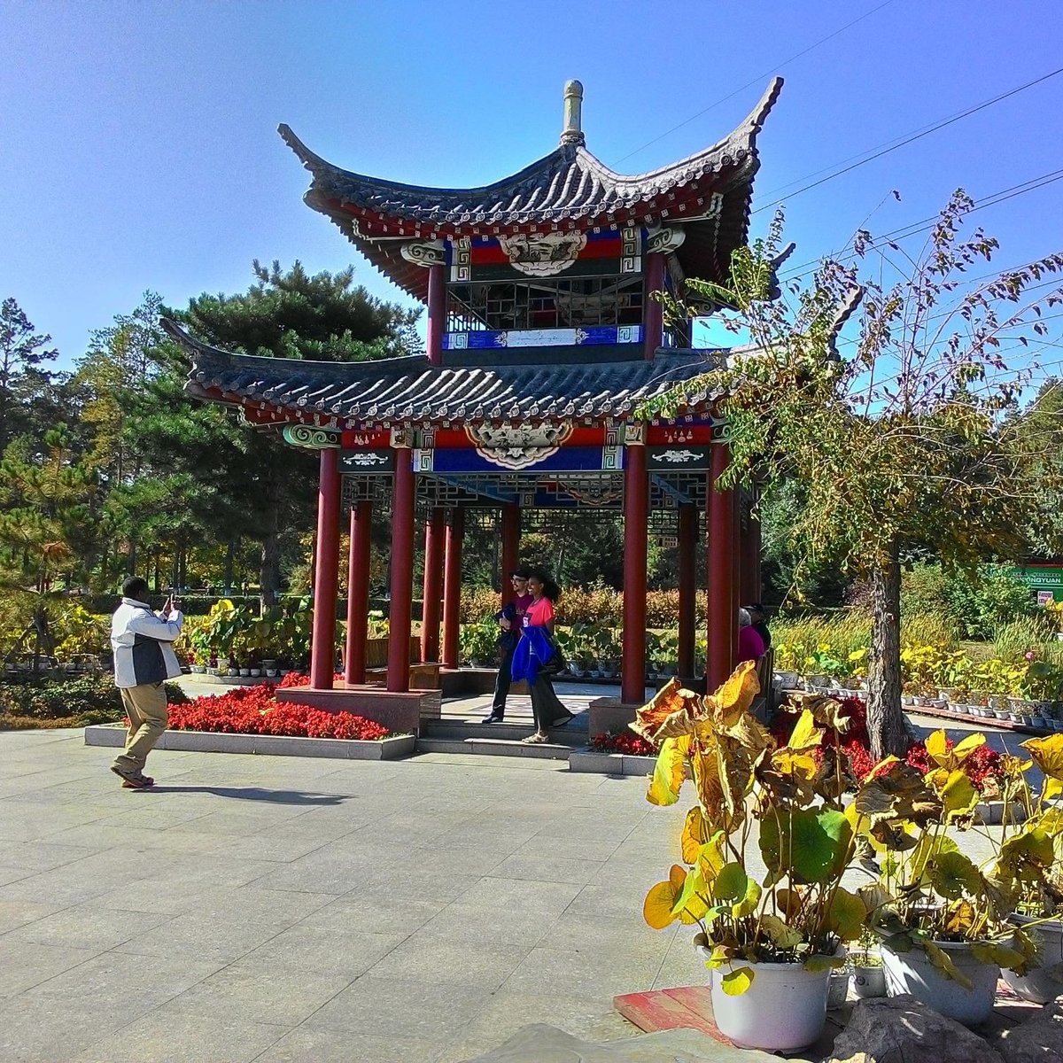 Harbin Forest Botanical Garden, Харбин: лучшие советы перед посещением -  Tripadvisor