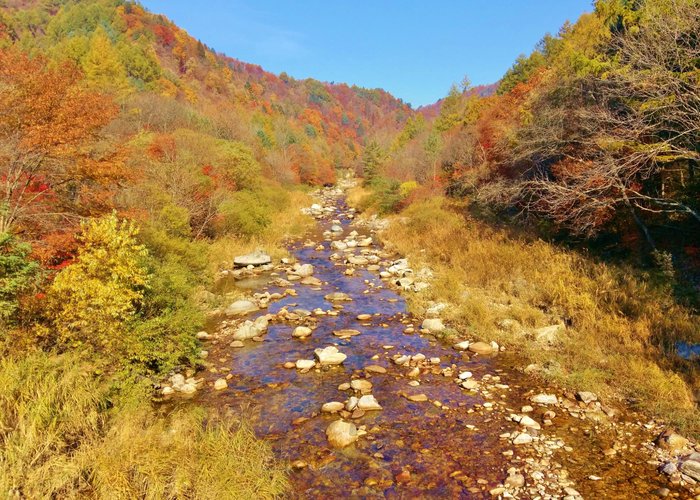 Odaesan Mountain Fall Foliage