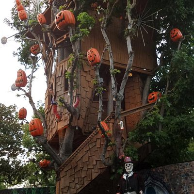 ロサンゼルスのベスト遊園地 トリップアドバイザー