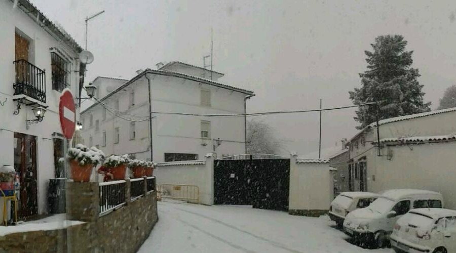 UN DIA DE NIEVE