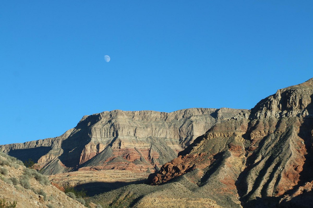 Exploring the Virgin River Canyon Recreation Area in Arizona