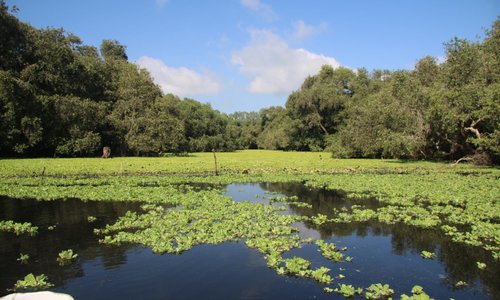 Long Xuyen, Vietnam 2024: Best Places to Visit - Tripadvisor