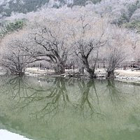Changwon Naesumyeon Eco Park