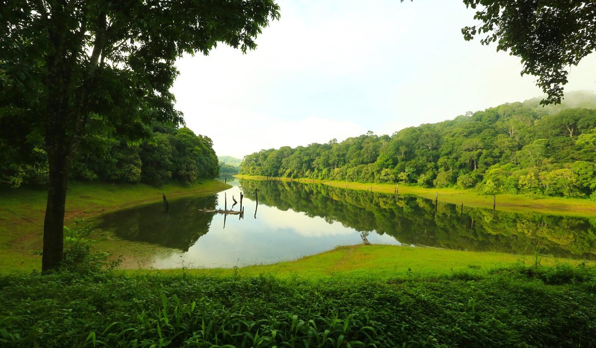 Thekkady View
