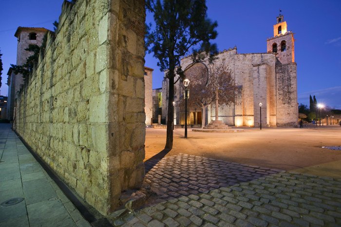 Imagen 3 de Monestir de San Cugat (Monasterio de San Cugat)