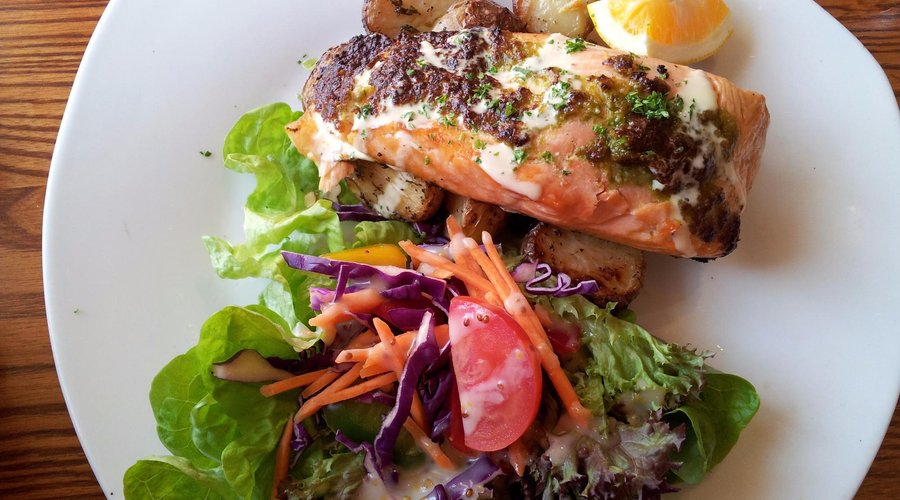 Salmon