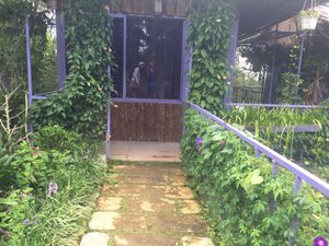 Phòng & Phòng Suite