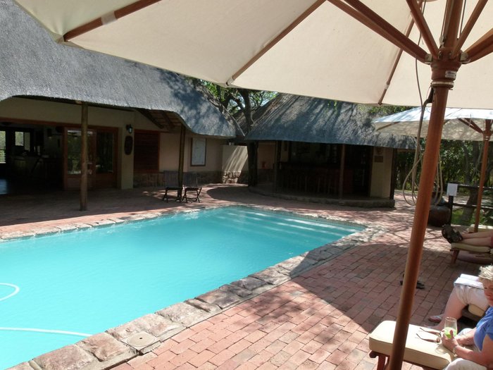 Serondella Safari Lodge Pool: Pictures & Reviews - Tripadvisor