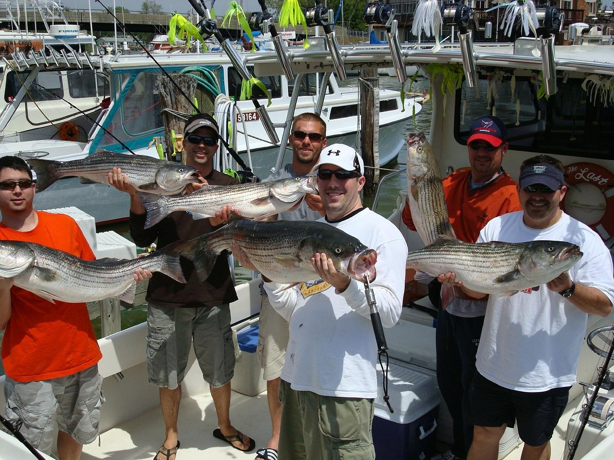 Last hurrah for black sea bass