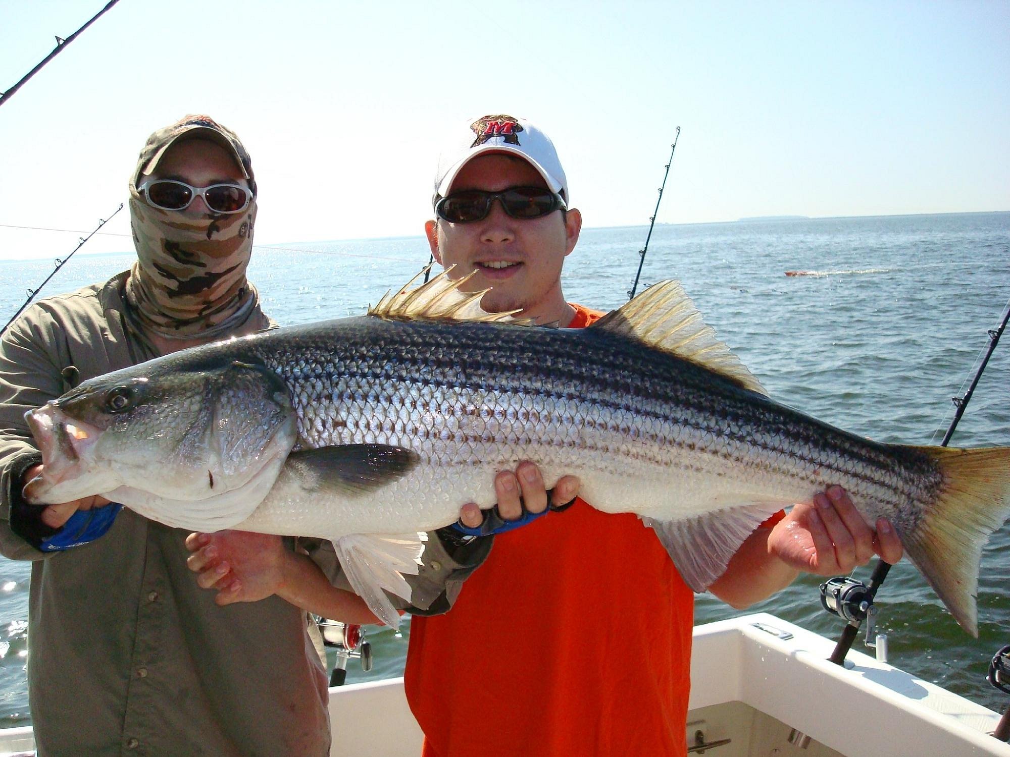 Last Hurrah Fishing Charters (Deale) All You Need to Know BEFORE You Go