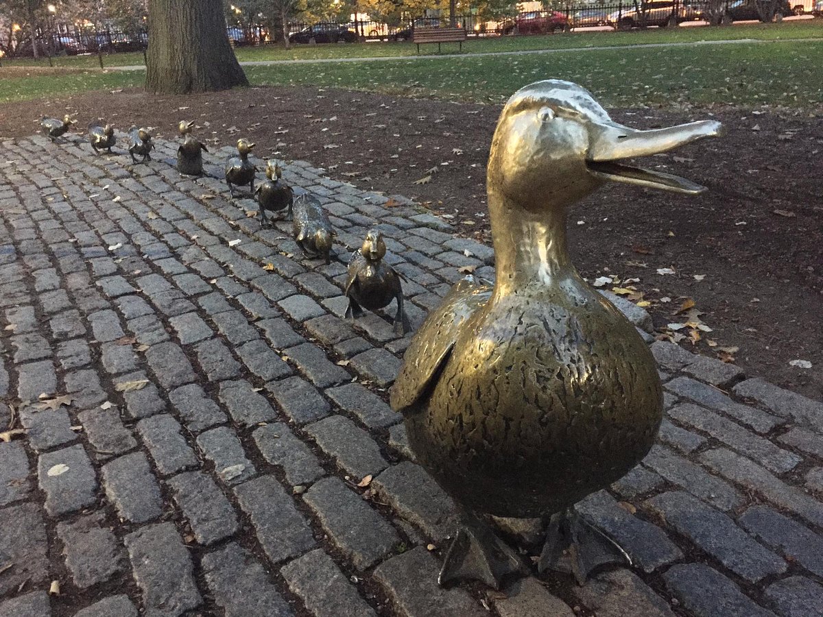 Make Way for Ducklings Statues (Boston) All You Need to Know BEFORE