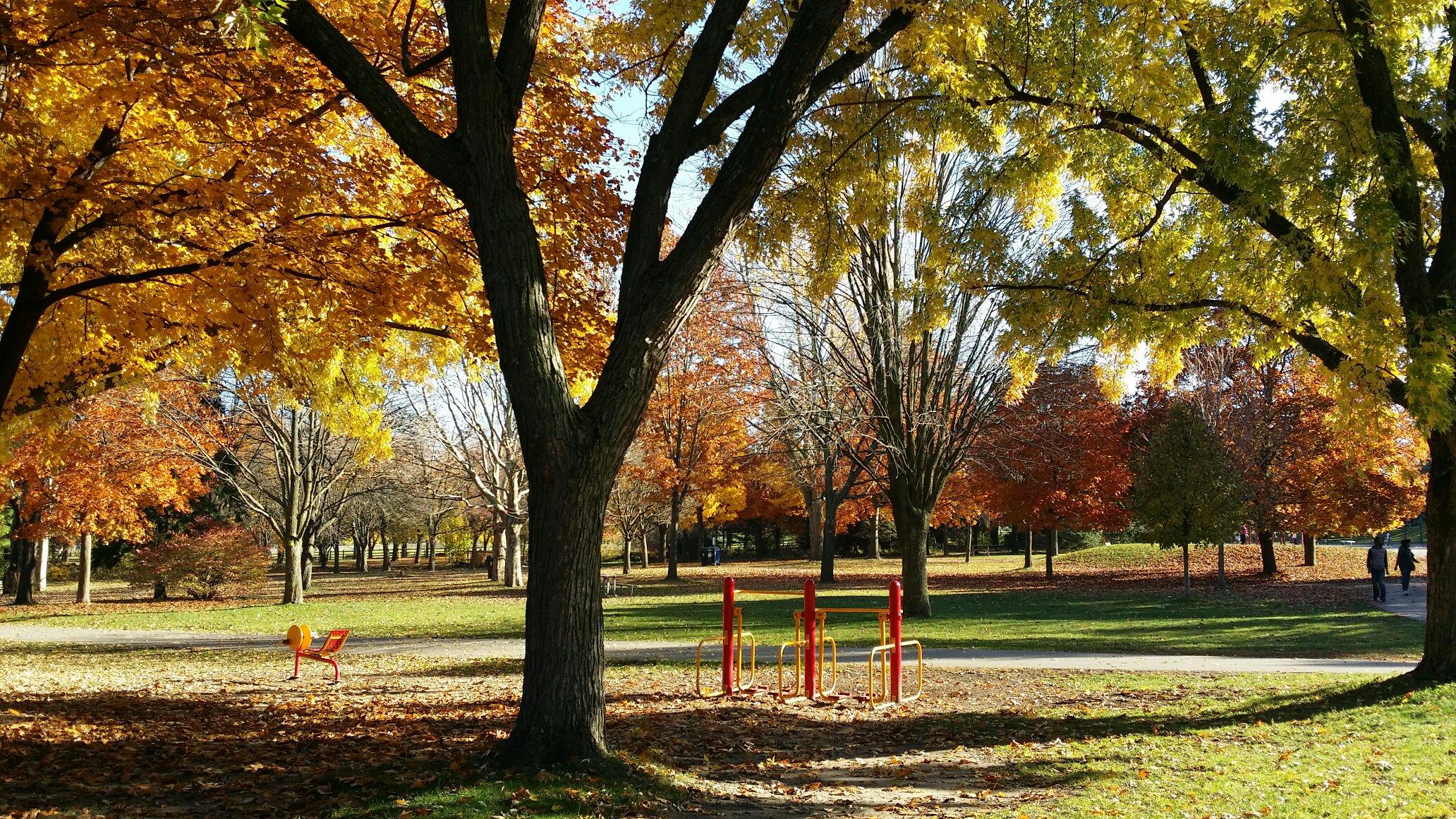 toronto parks near me