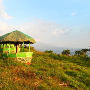The resort's Picnic Groves