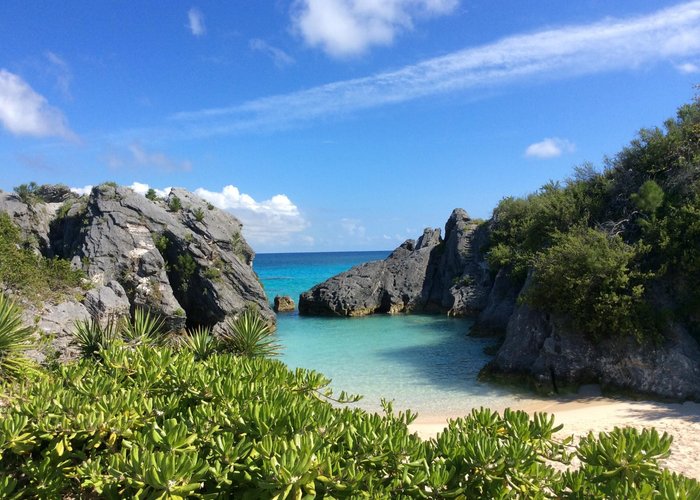 Jobsons Cove Beach - All You Need to Know BEFORE You Go (with Photos)