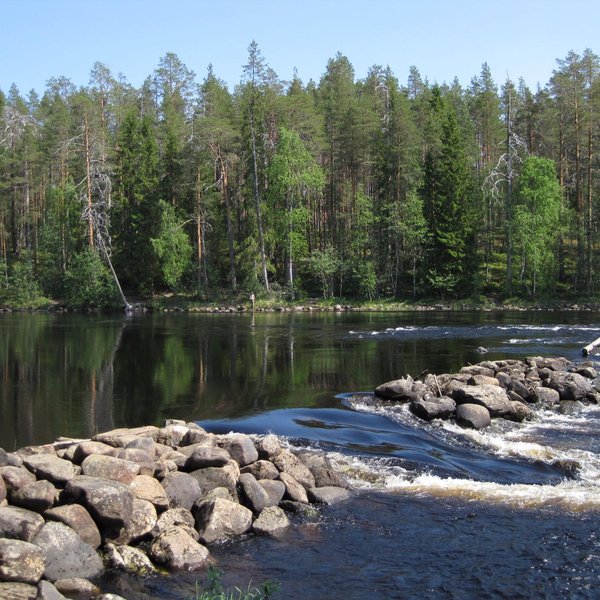 THE 15 BEST Things to Do in Kuhmo - 2024 (with Photos) - Tripadvisor